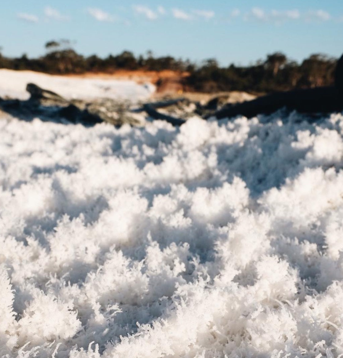 White mineral crystals forming across the ground